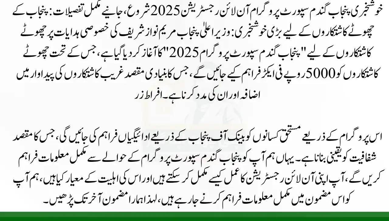 Good News Punjab wheat support program Online Registration Start 2025 Know Full details