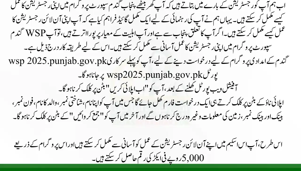 How to Apply Online for the Punjab Wheat Program