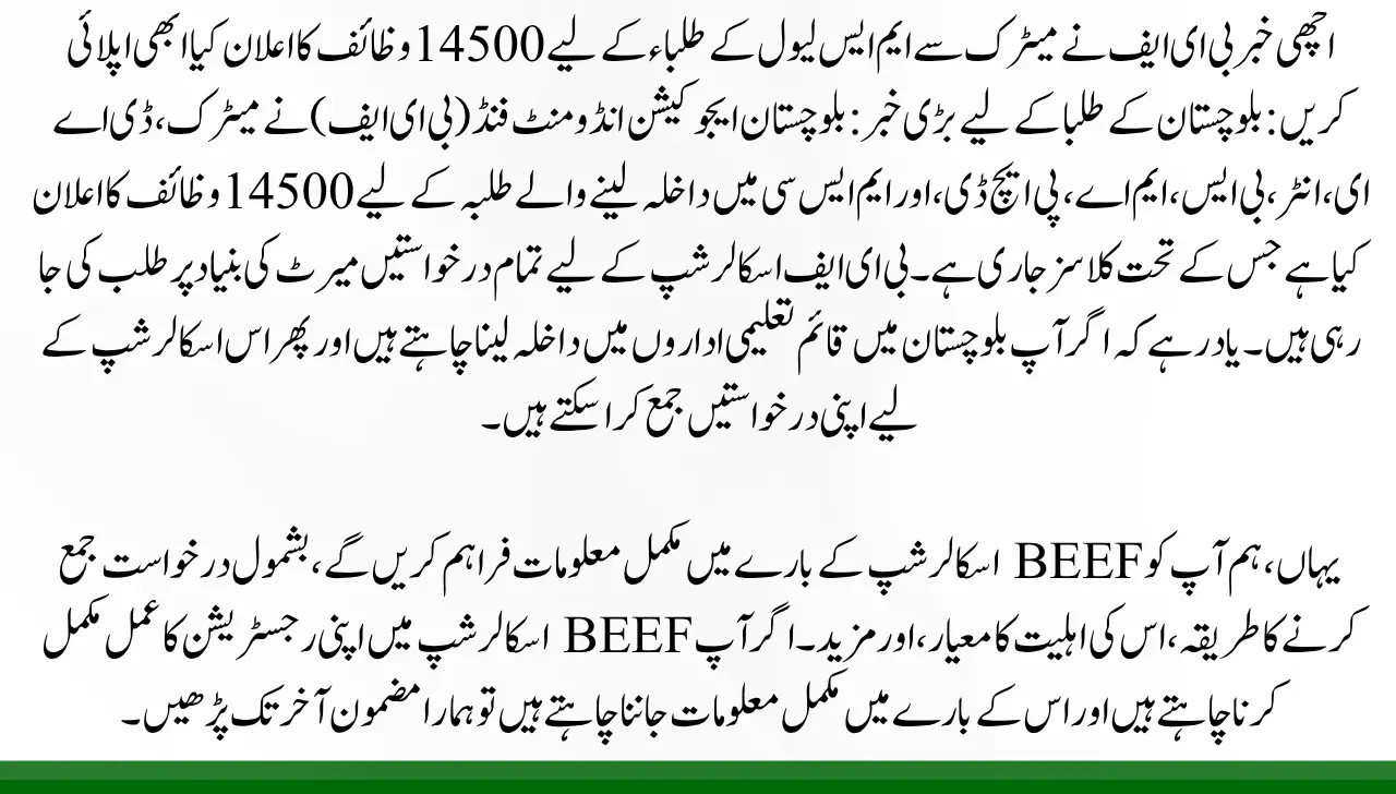 BEEF announces 14500 scholarships for Matric to MS Level Students