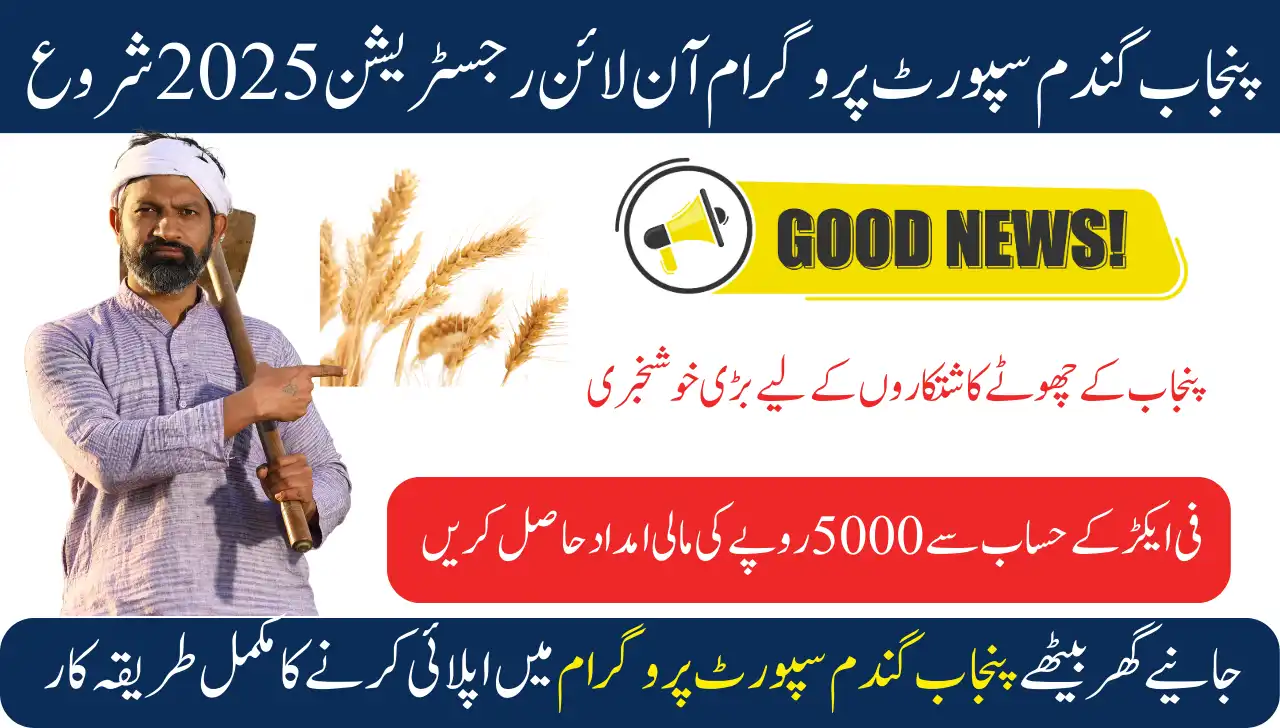 Punjab wheat support program Online Registration Start 2025